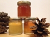 Medena ustvarjalnica – Uporaba čebeljih pridelkov za osebno nego