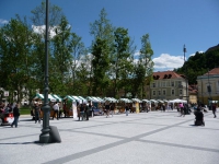 Mladinska tržnica 2012 v Ljubljani